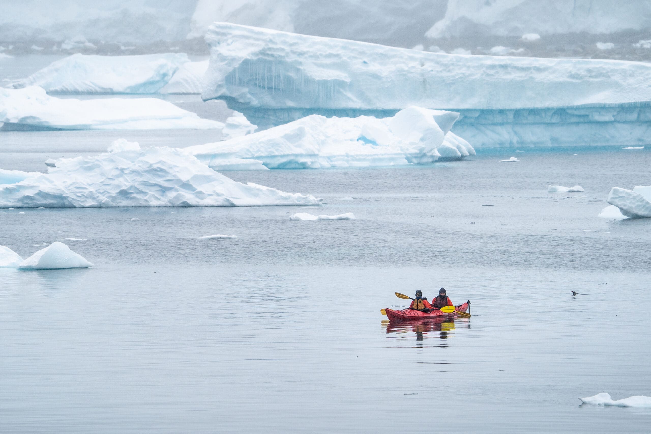 A21_OCN06-CA_2022_23-Yuki Davidoff_07919 Antarctica air cruise by IBG Travel